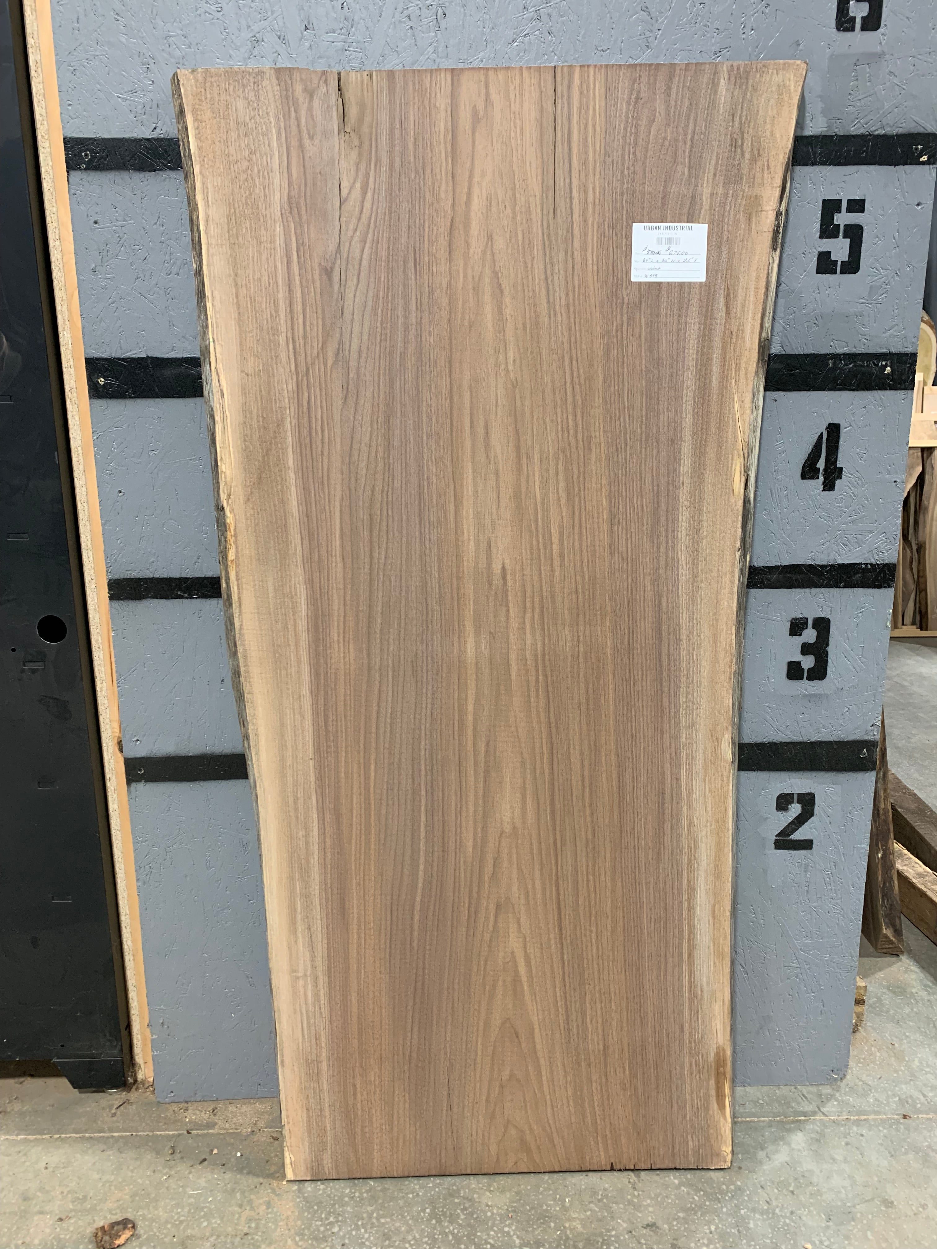 Black Walnut Slab | W648