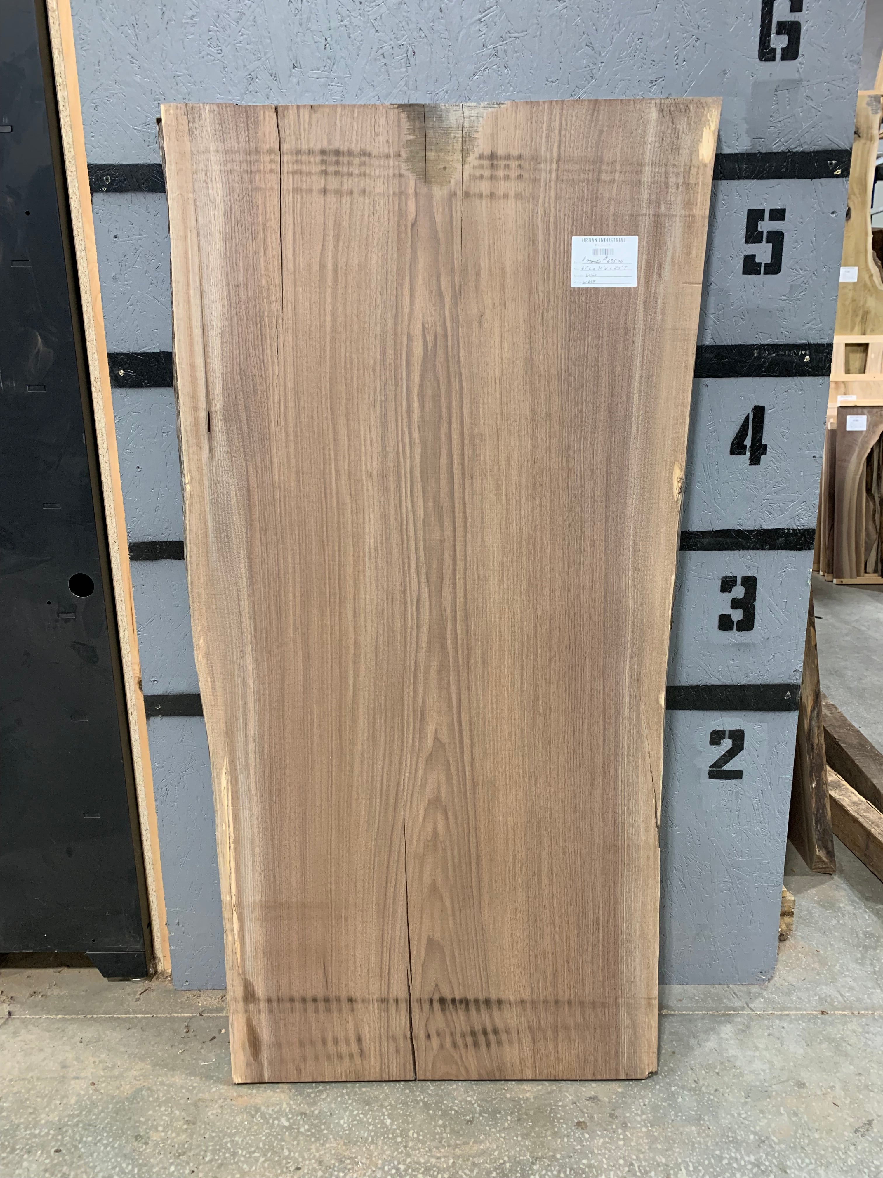 Black Walnut Slab | W649