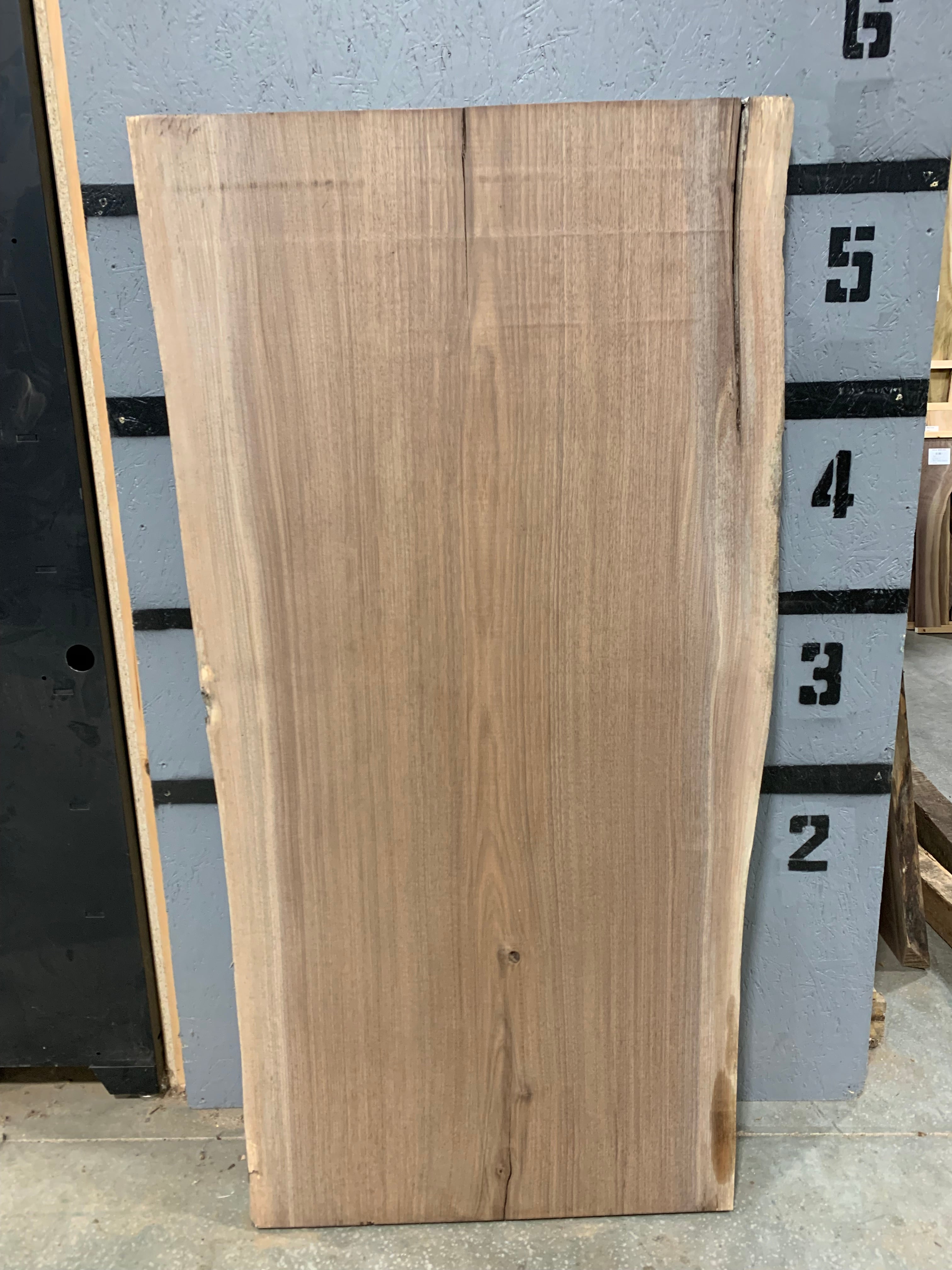 Black Walnut Slab | W649