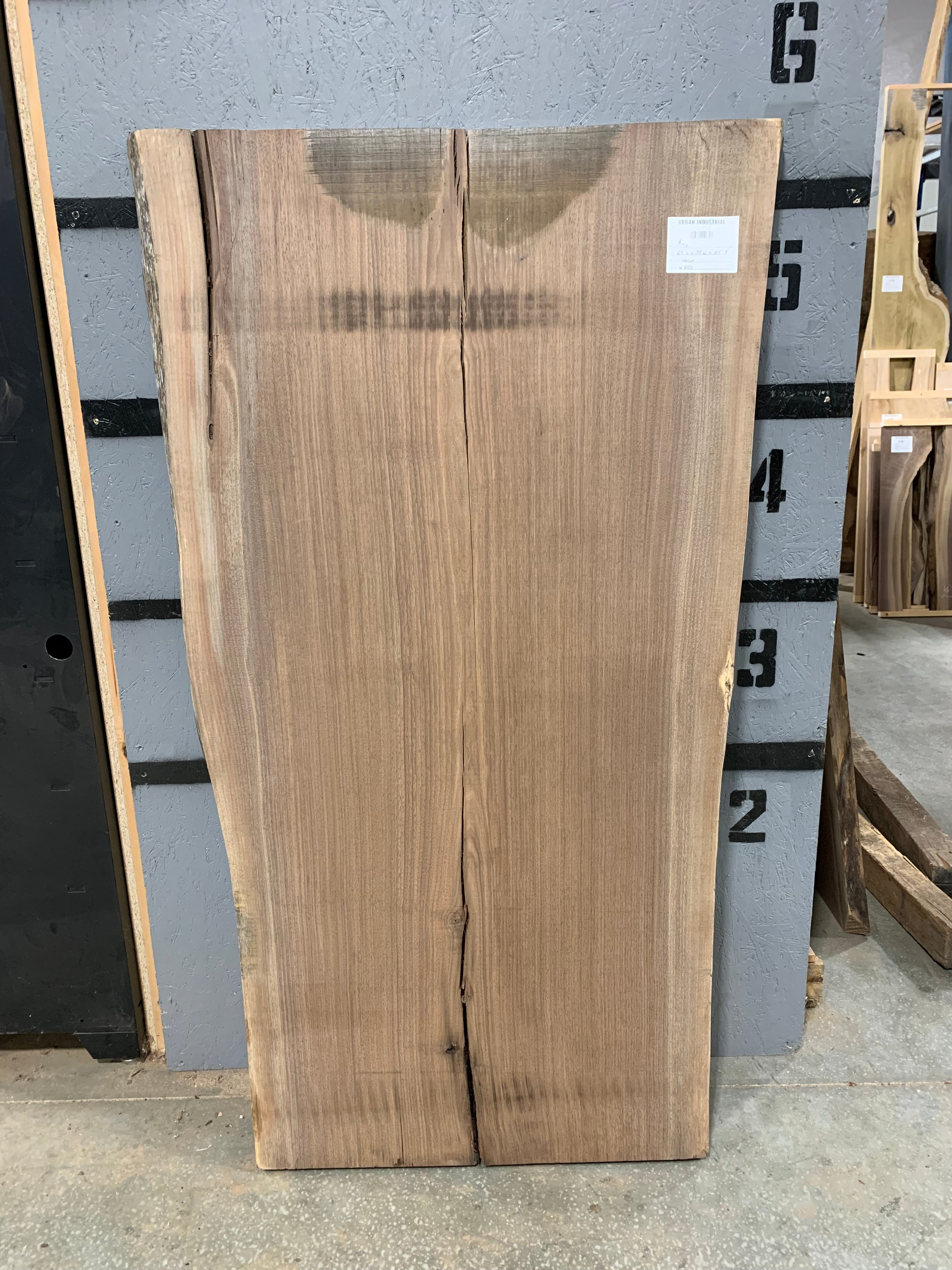 Black Walnut Slab | W650