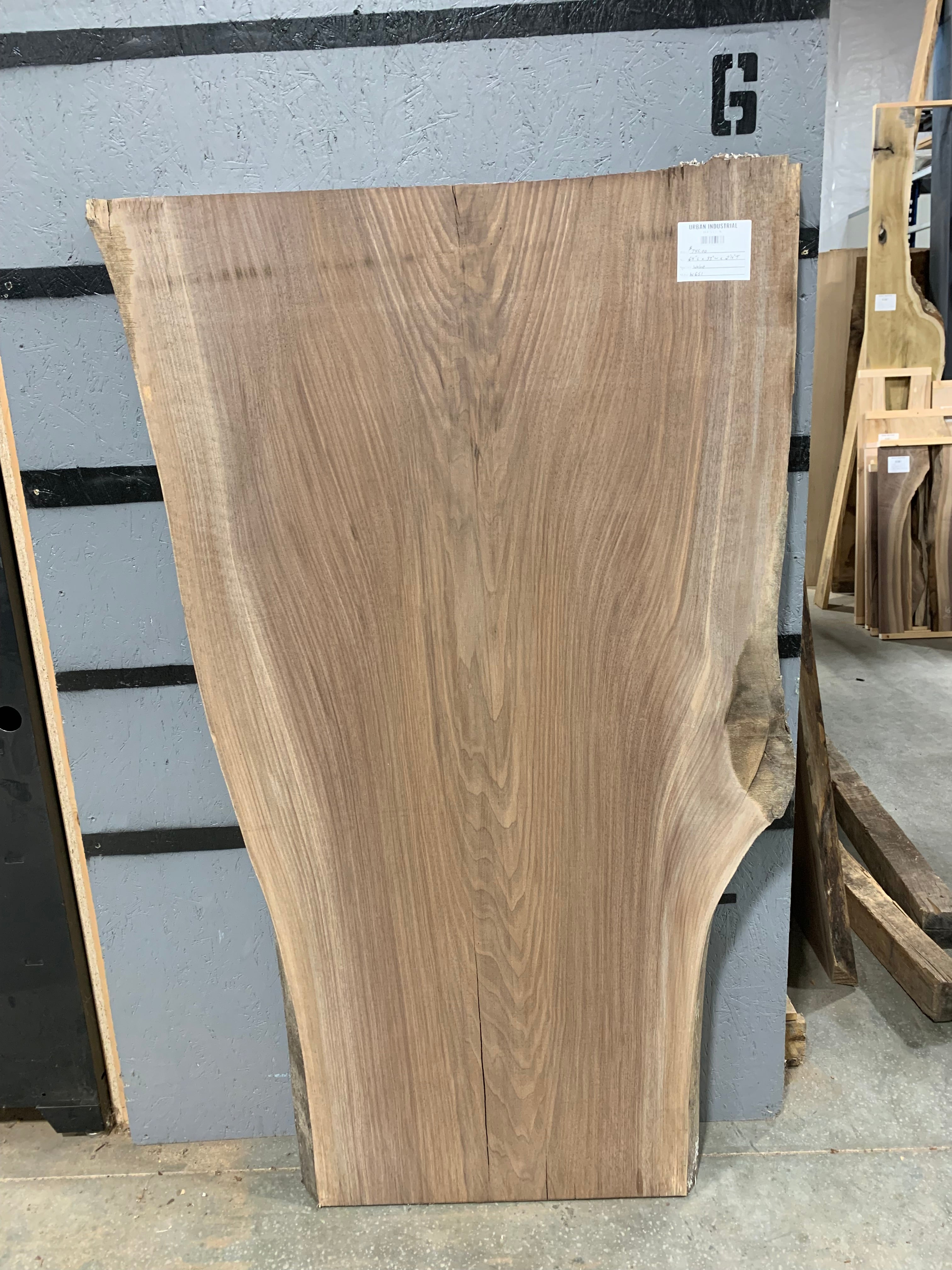 Black Walnut Slab | W651