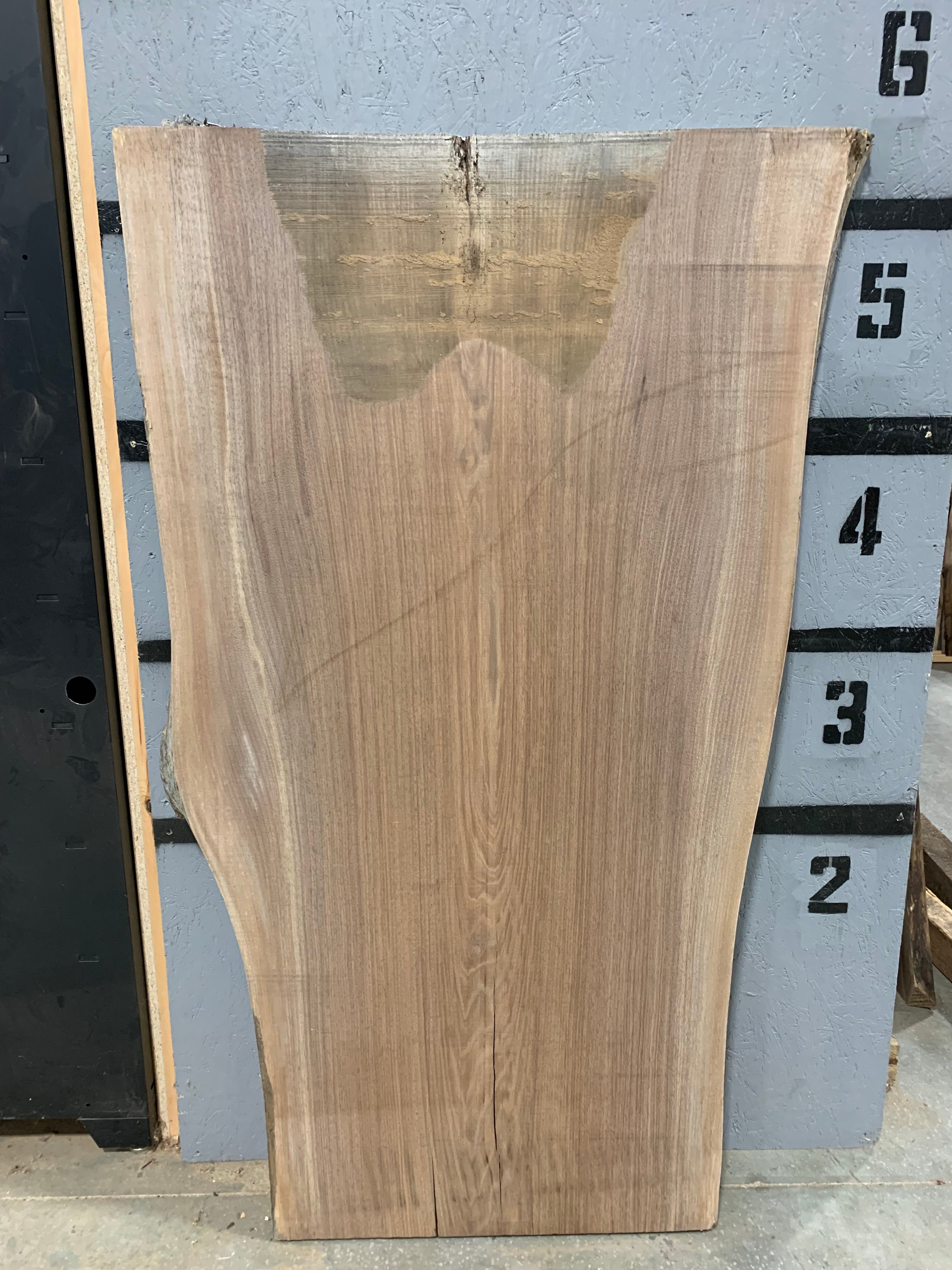 Black Walnut Slab | W651