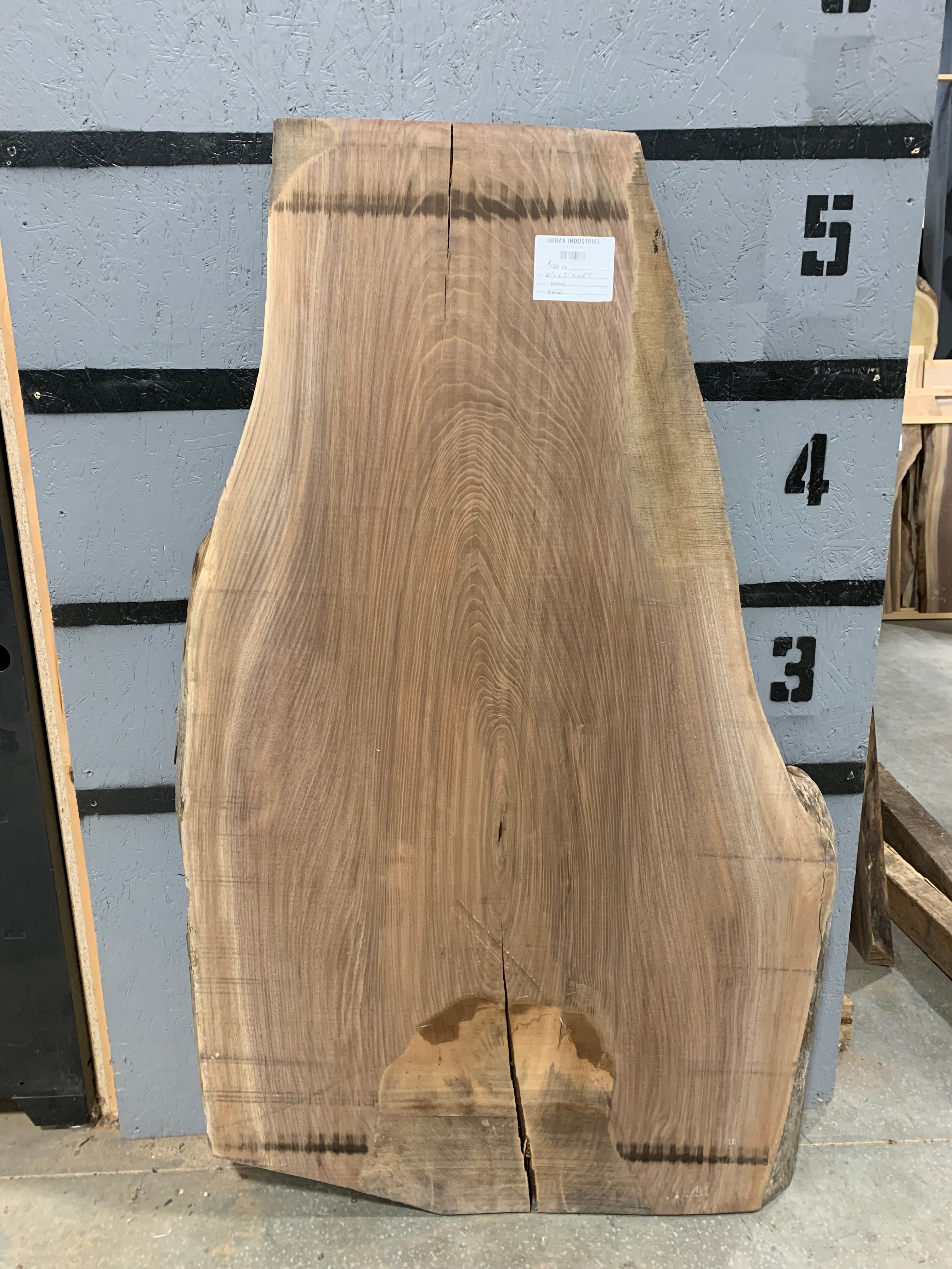 Black Walnut Slab | W652