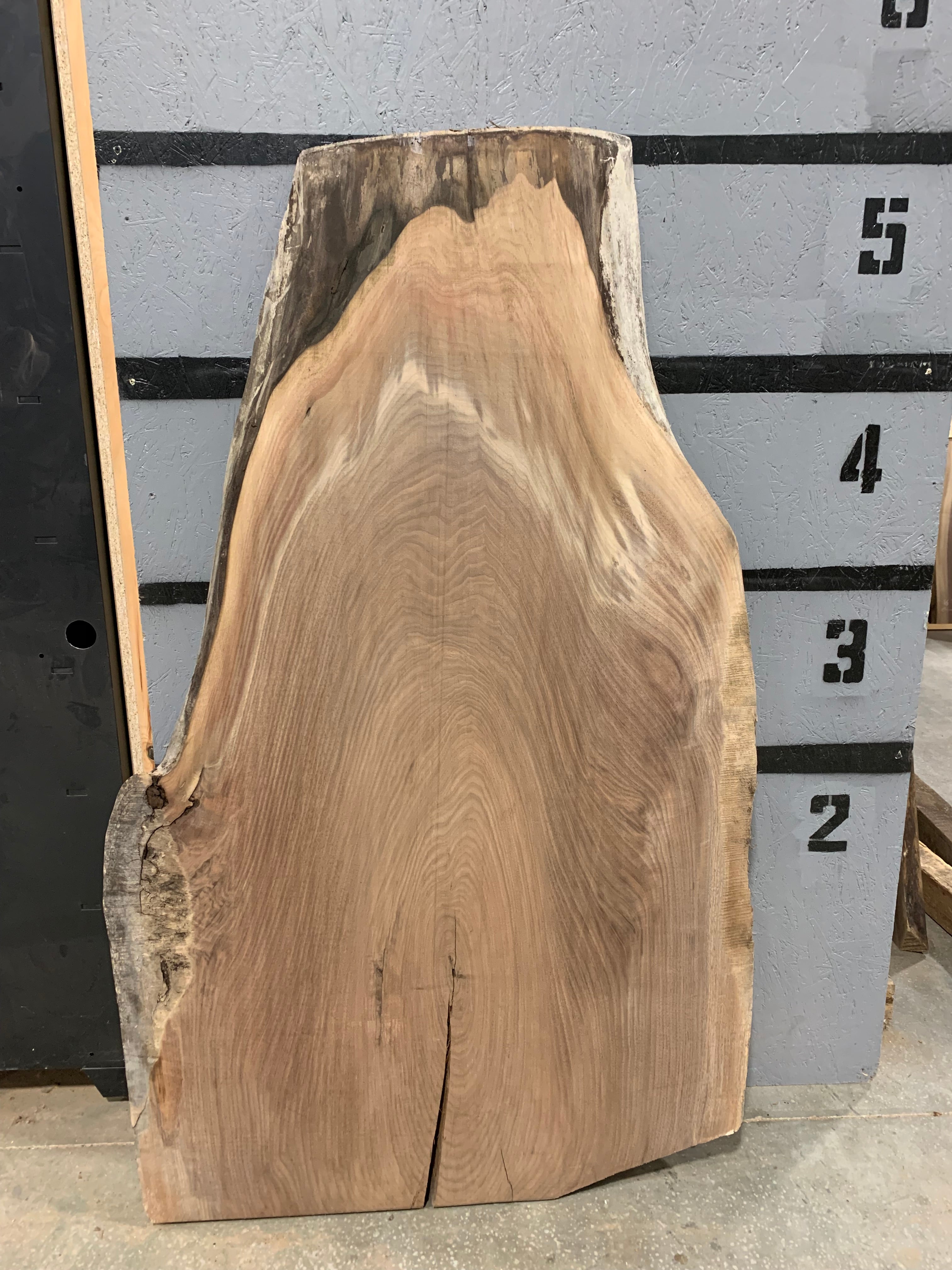 Black Walnut Slab | W652