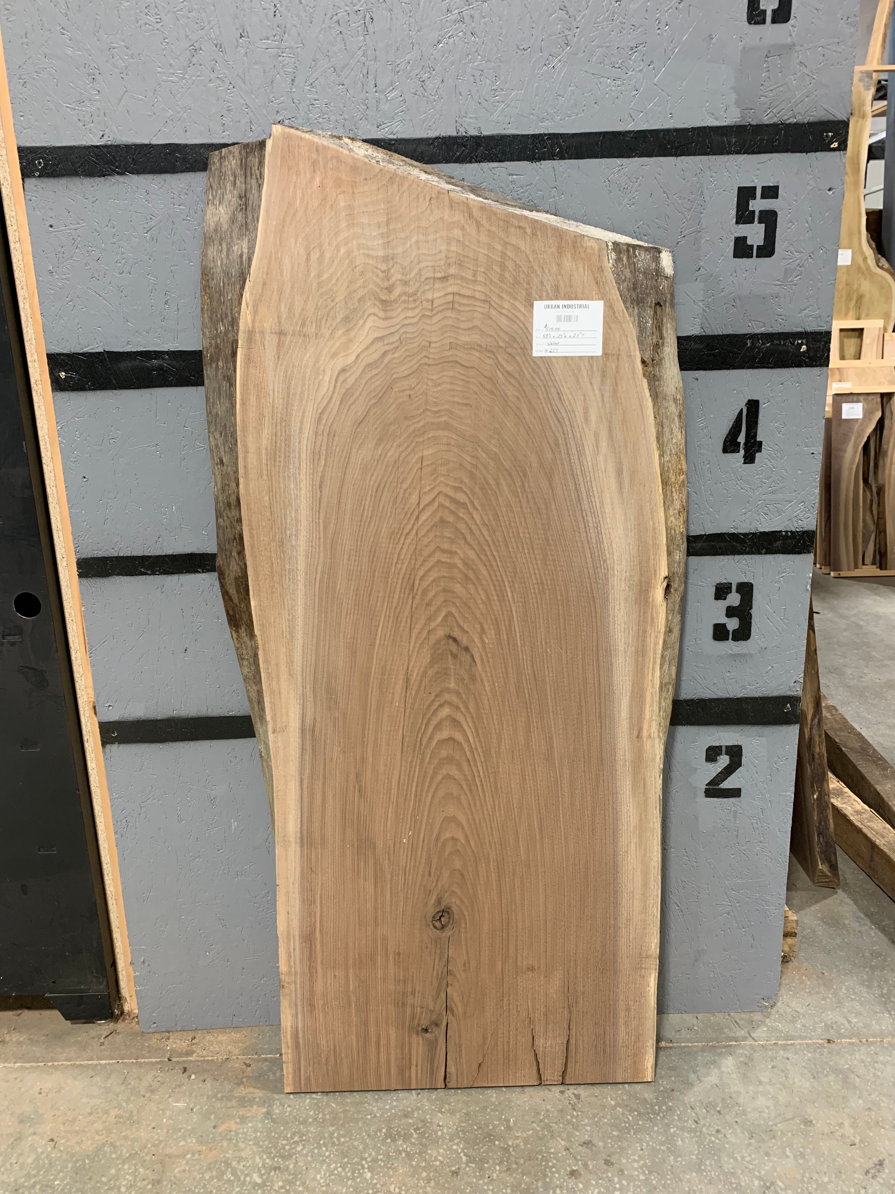 Black Walnut Slab | W654