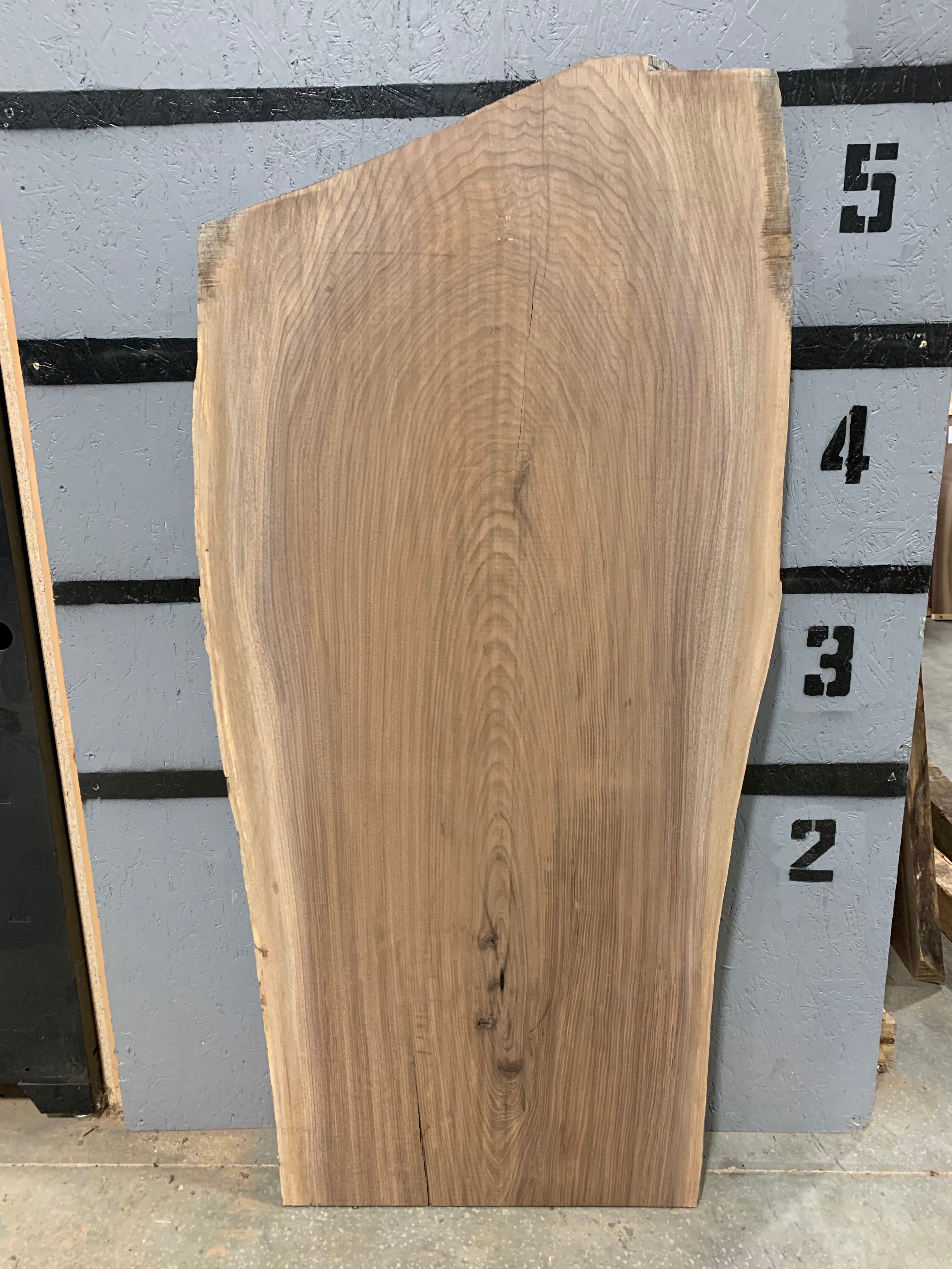 Black Walnut Slab | W654