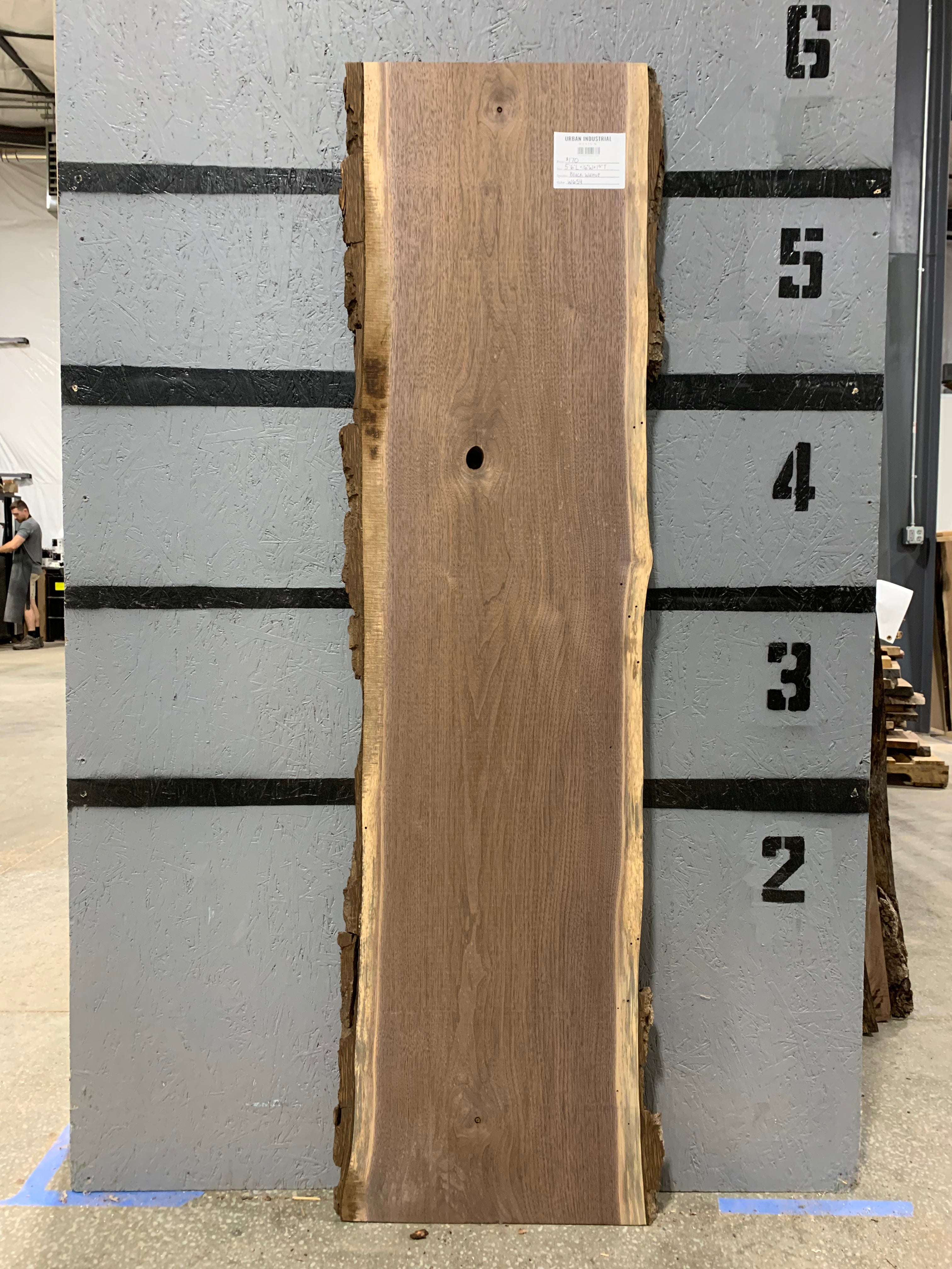 Black Walnut Slab | W657