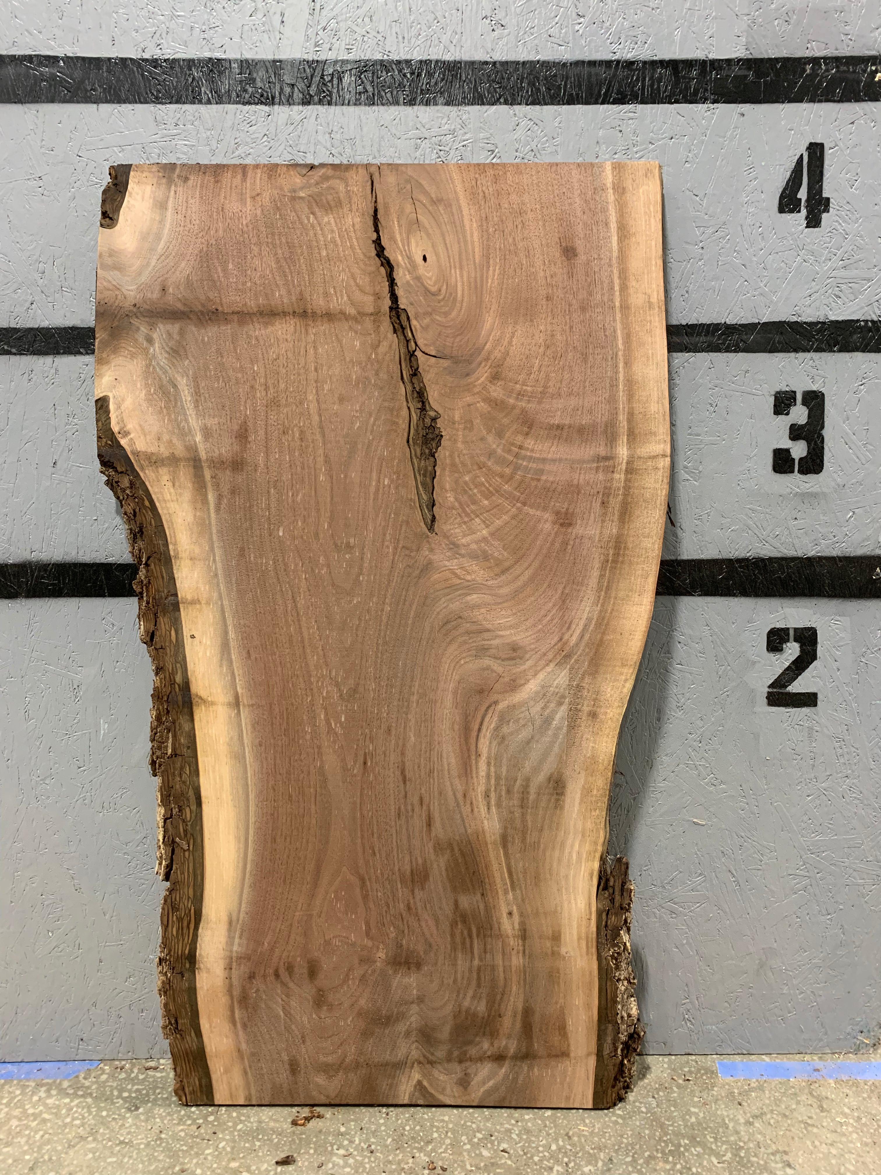 Black Walnut Slab | W658