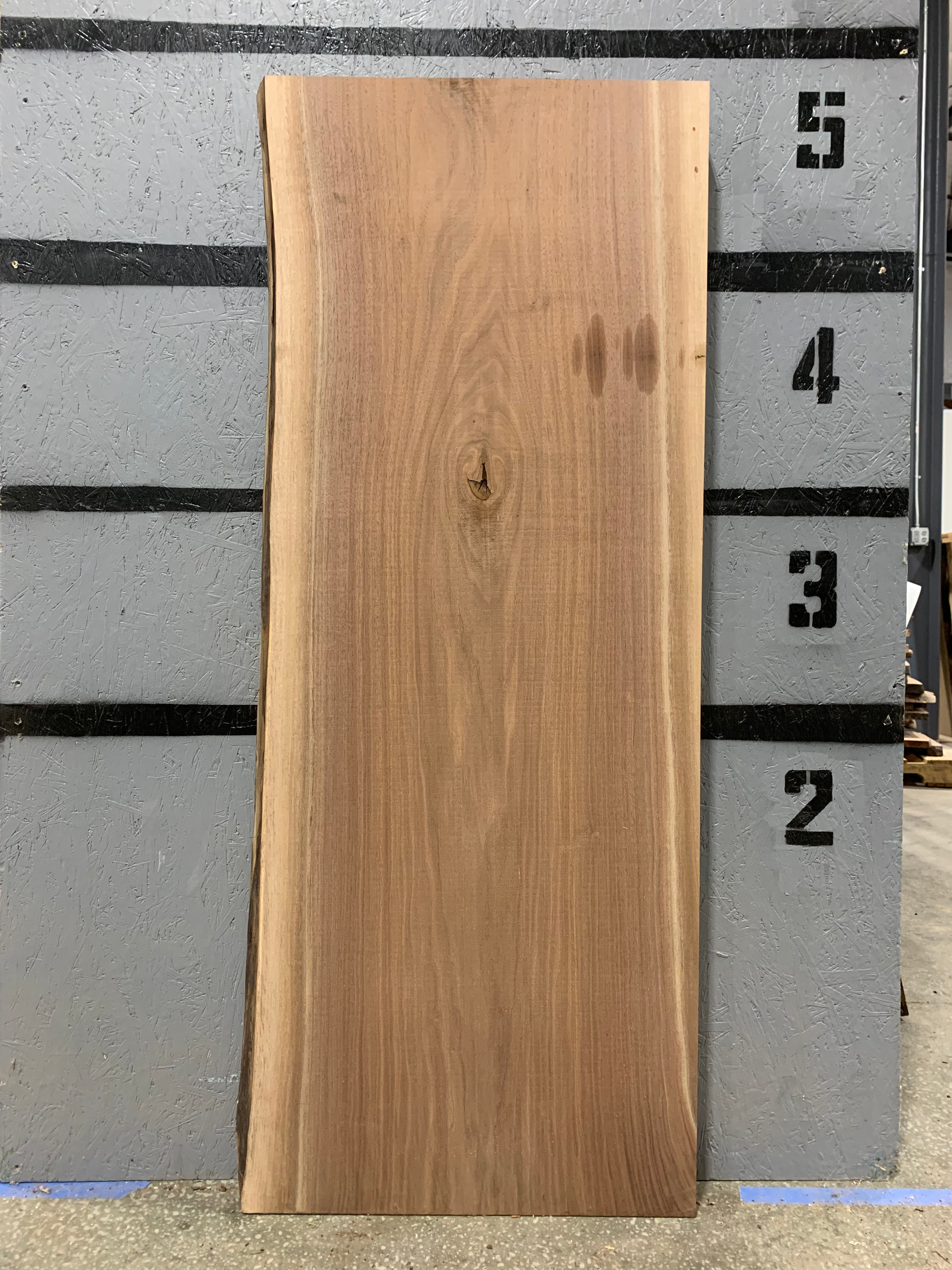 Black Walnut Slab | W662