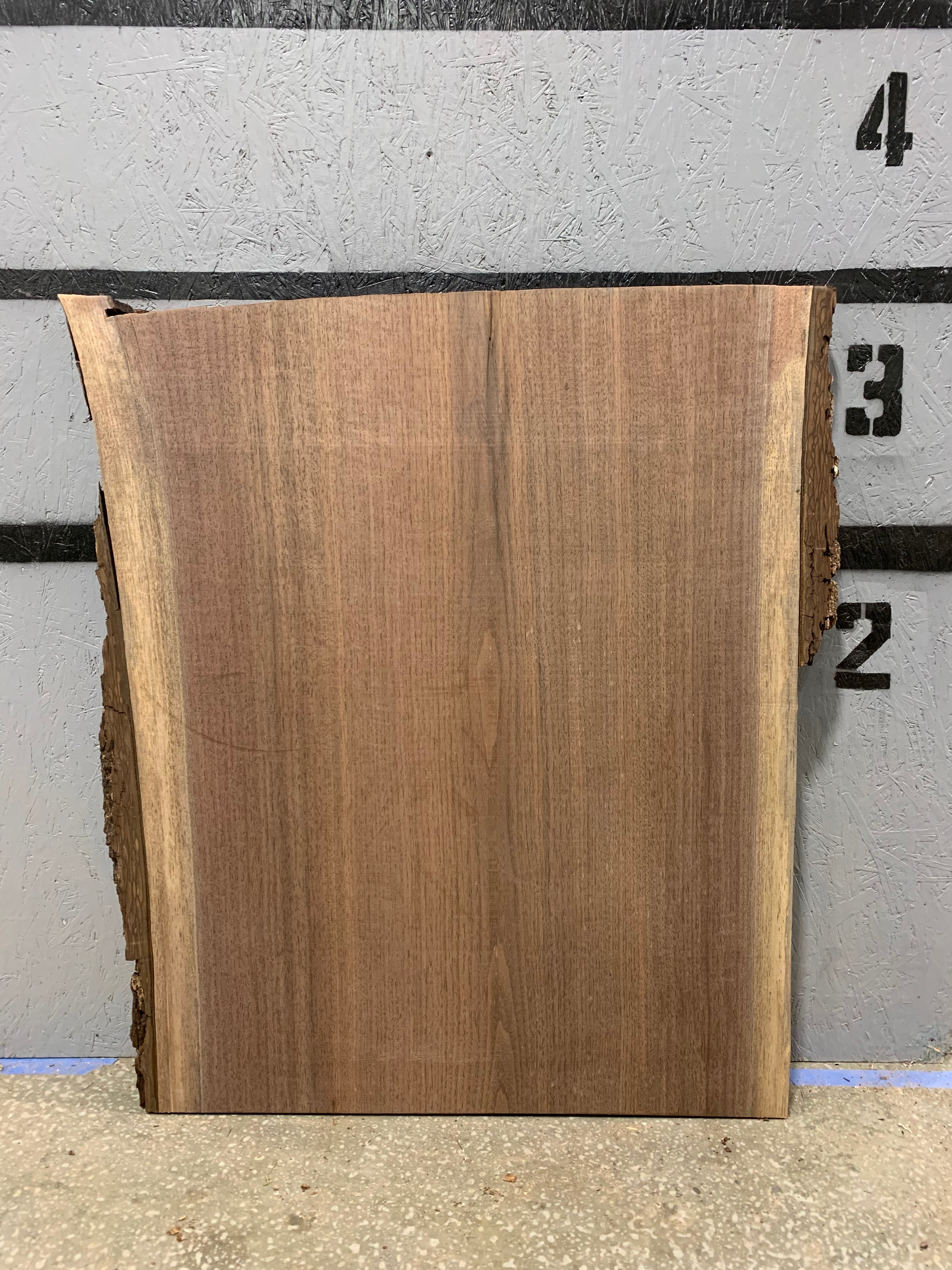 Black Walnut Slab | W660