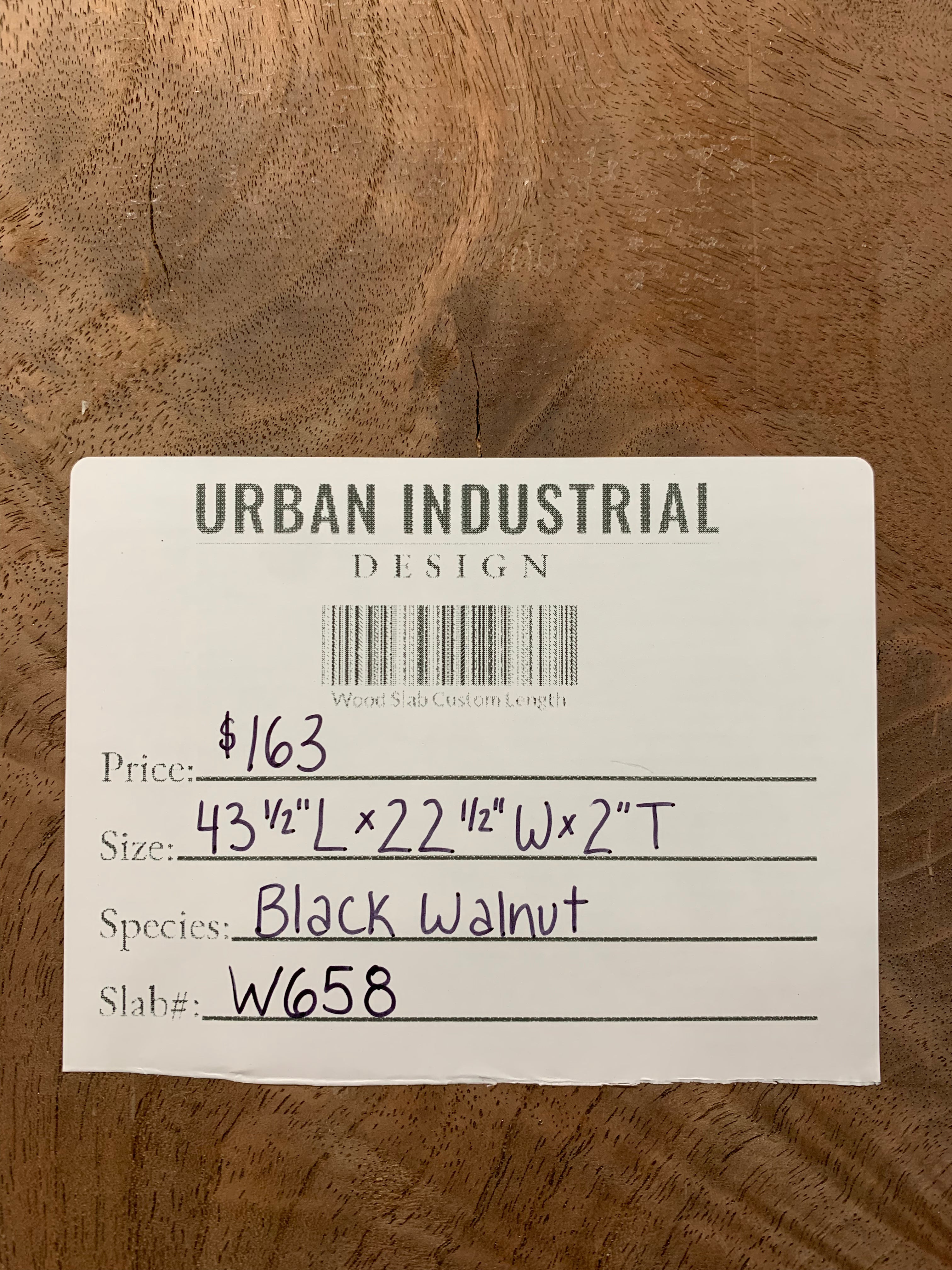 Black Walnut Slab | W658