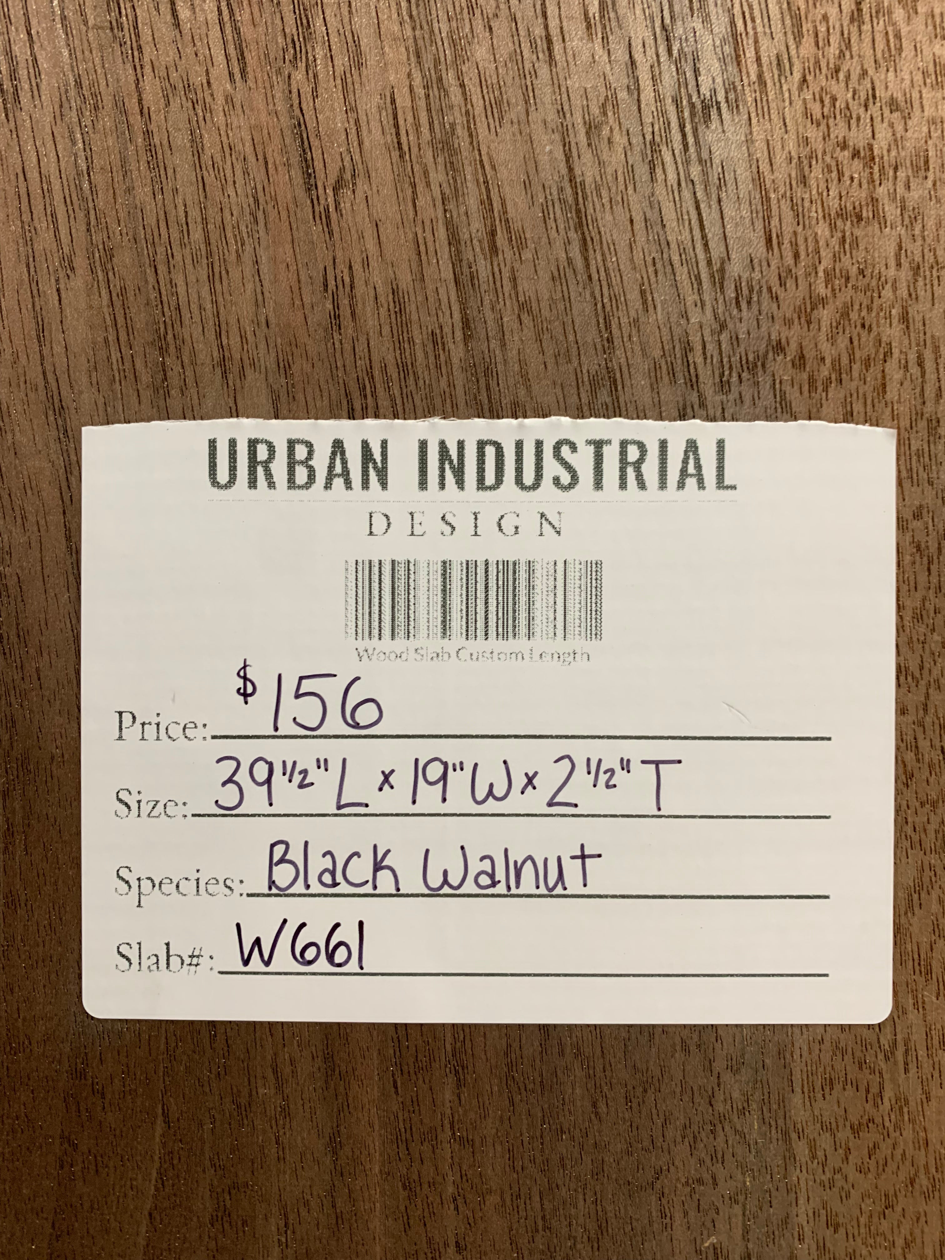 Black Walnut Slab | W661