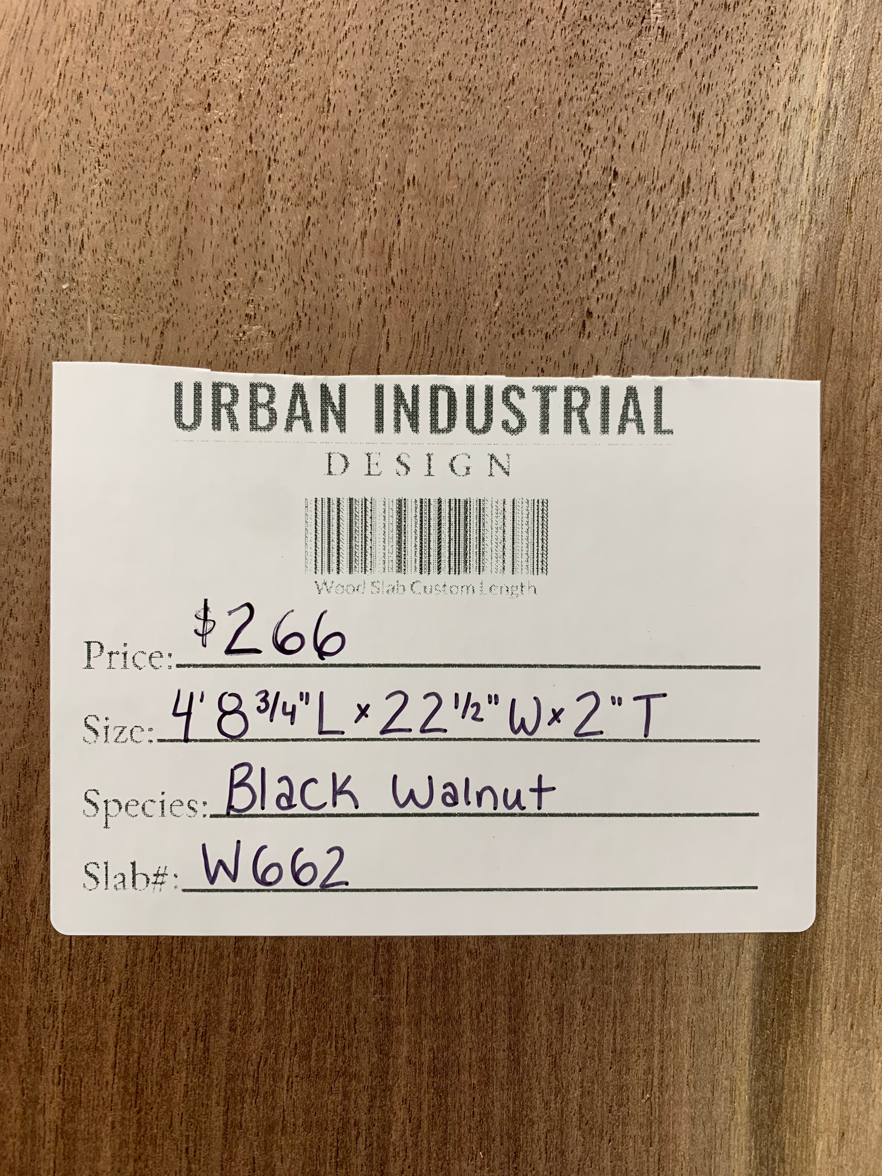 Black Walnut Slab | W662