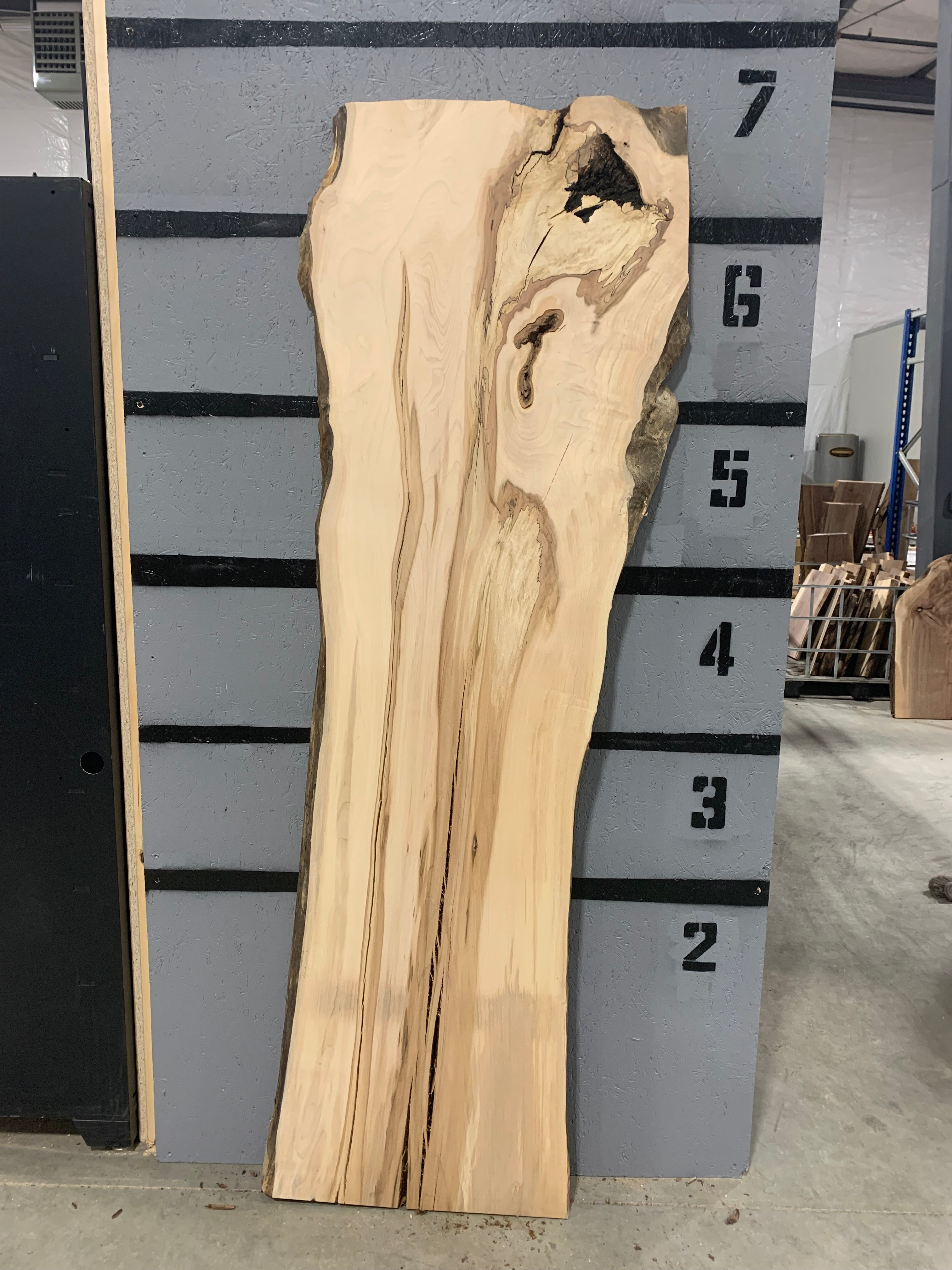 Spalted Maple Slab | W170